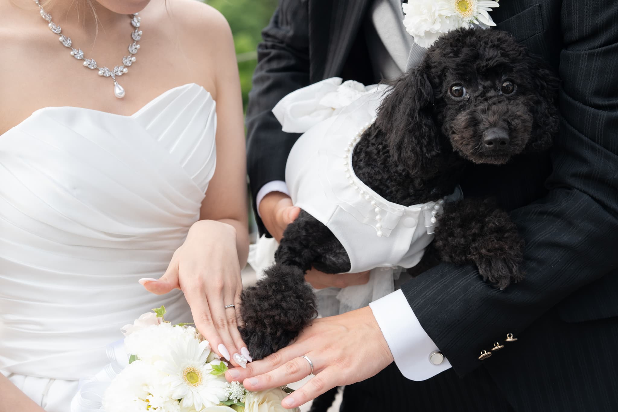 【小さな結婚式お台場店】大切な家族のわんちゃんと一緒の結婚式♡